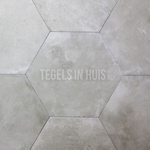 Bestaan adviseren gijzelaar Hexagon - Zeshoek tegels Zilver 25x30cm | Tegels in Huis - De goedkoopste  tegeloutlet van NL