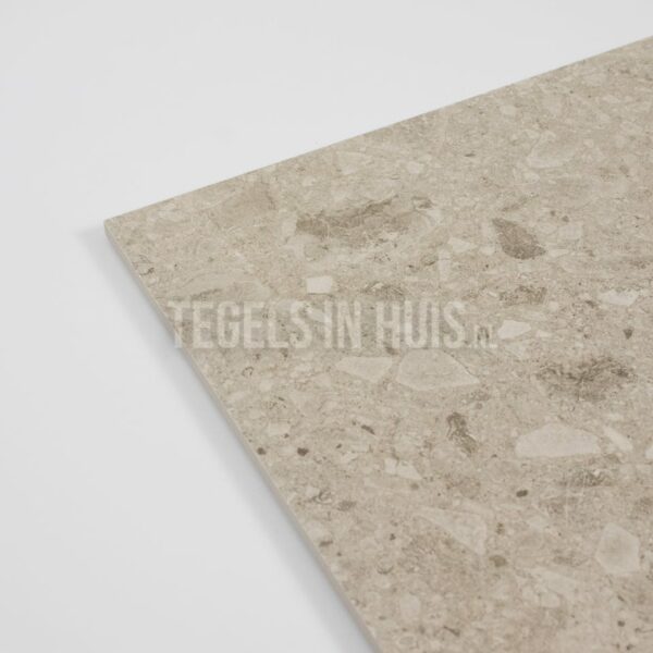 vloertegel g stone terrazzo zand 60x60 r10 gerectificeerd full body