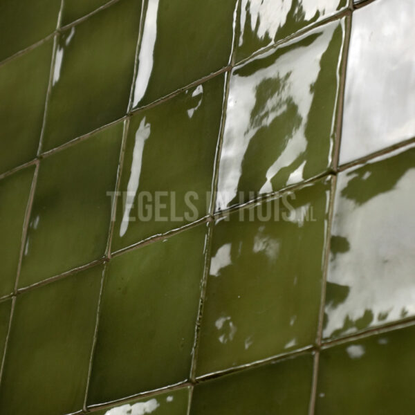 wandtegel 10x10 manacor basil groen handvorm glans